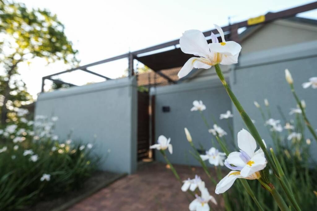 Home In Cape Town-The Homestead Stellenbosch Exterior photo